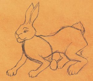 Jänishahmo eläinfantasia-ajatuksella