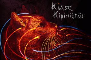 Kissa Kipinätär
