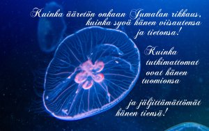 Raamatunkohta: Kuinka ääretön onkaan Jumalan rikkaus... Kirje roomalaisille 11:33