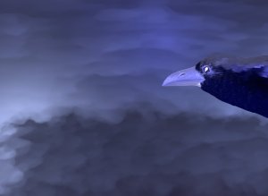 Korppikuva tarinaani varten