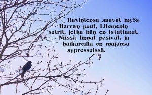 Ravintonsa saavat... Ps. 104:16-17