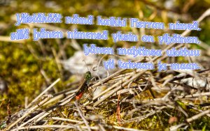 Ylistäkööt nämä kaikki... Ps. 148:13