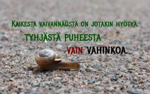 Raamatunkohta: Kaikesta vaivannäöstä on jotakin hyöytä... Sananlaskut 14:23