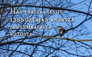 Raamatunkohta: Herra pelastaa sinut linnustajan ansasta... Psalmi 91:3
