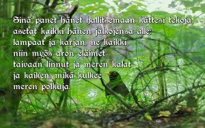 Raamatunkohta: Sinä panet hänet hallitsemaan... Psalmi 8:7-9 STLK Raamatunkäännös