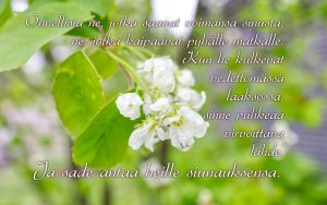 Raamatunkohta: Onnellisia ne, jotka saavat voimansa sinusta... Psalmi 84:6-7