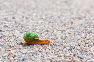 Toinen kotiloetana, jonka kuoresta olen tehnyt värikkäämmän