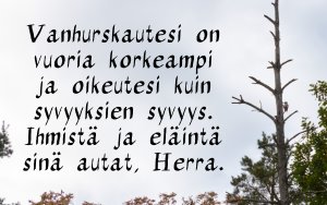 Vanhurskautesi on vuoria korkeampi... Ps. 36:7