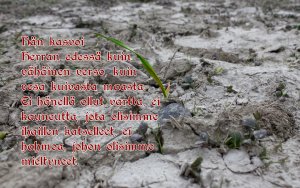 Raamatunkohta: Hän kasvoi Herran edessä... Jesajan kirja 53:2